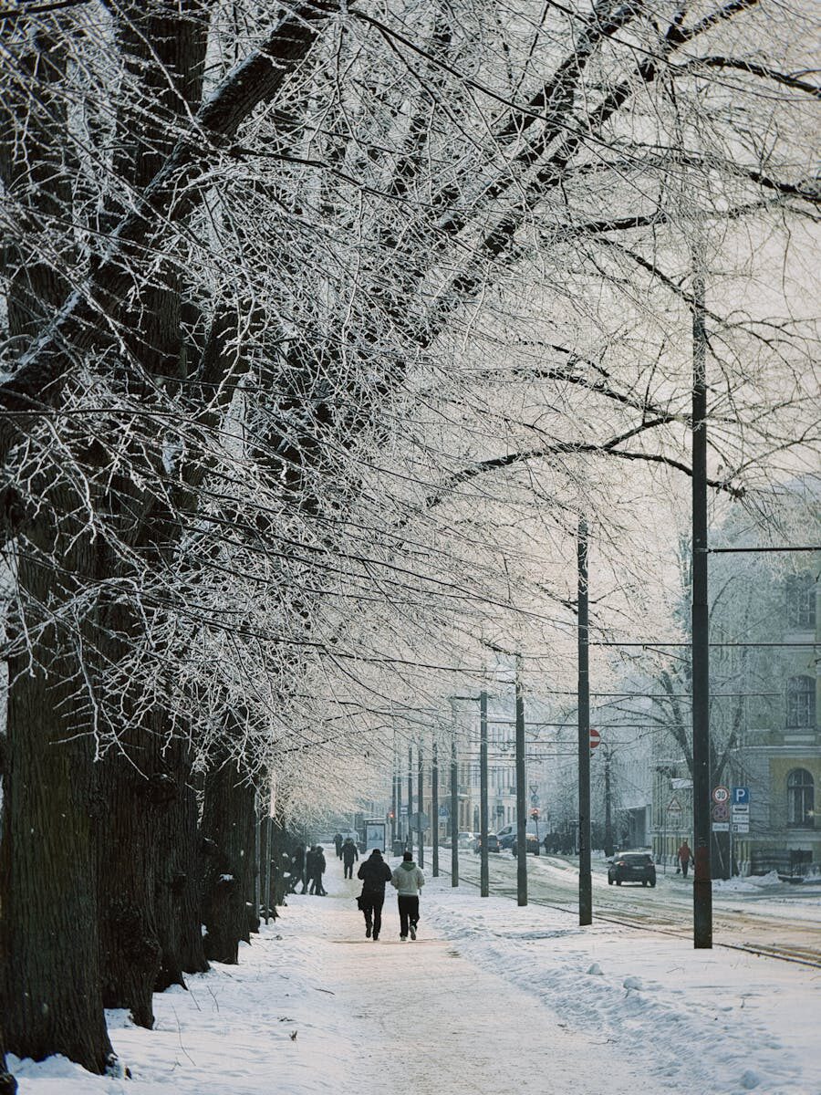 Disability Accommodation Disputes